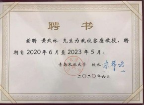 资质证书