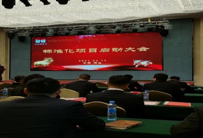 授课照片